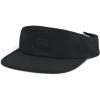 Trail LT Visor(Black)