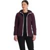 Outdoor Research Women’s OR Polartec® 200 Hoodie(Amethyst)