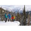 Outdoor Research unisex-adult Full Coverage(Loden)