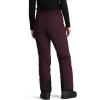 Outdoor Research Women’s Snowcrew Pants(Amethyst)