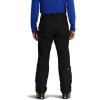 Outdoor Research Men’s Trailbreaker Tour Pants(Black)