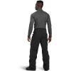 Outdoor Research Men’s Snowcrew Pants Tall(Black)