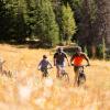 Outdoor Research Women’s Freewheel MTB Mountain Bike Long Sleeve Jersey(Dark Olive/Spice)