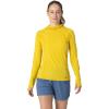 Yellow-poplar