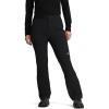 Outdoor Research Women’s Cirque III Pants(Black)